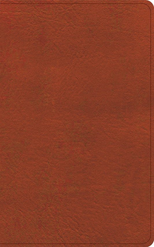 CSB Single-Column Personal Size Reference Bible, Sienna - Re-vived