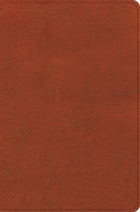 CSB Study Bible, Personal Size Edition, Burnt Sienna - Re-vived