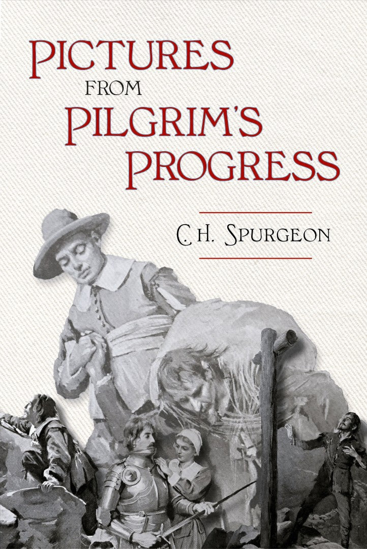 Pictures from the Pilgrim's Progress - Re-vived