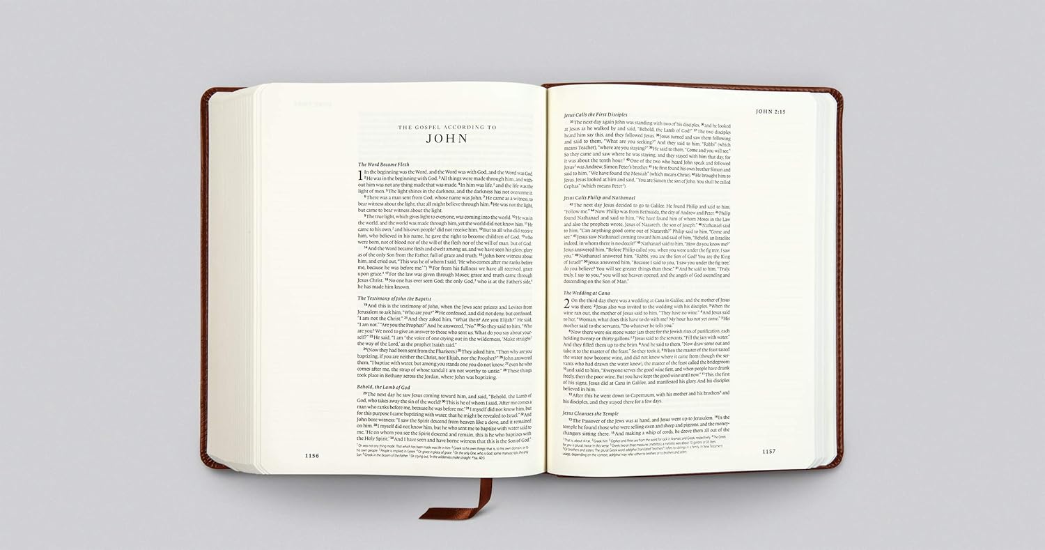 ESV Single Column Journaling Bible, Chestnut, Leaves - Re-vived