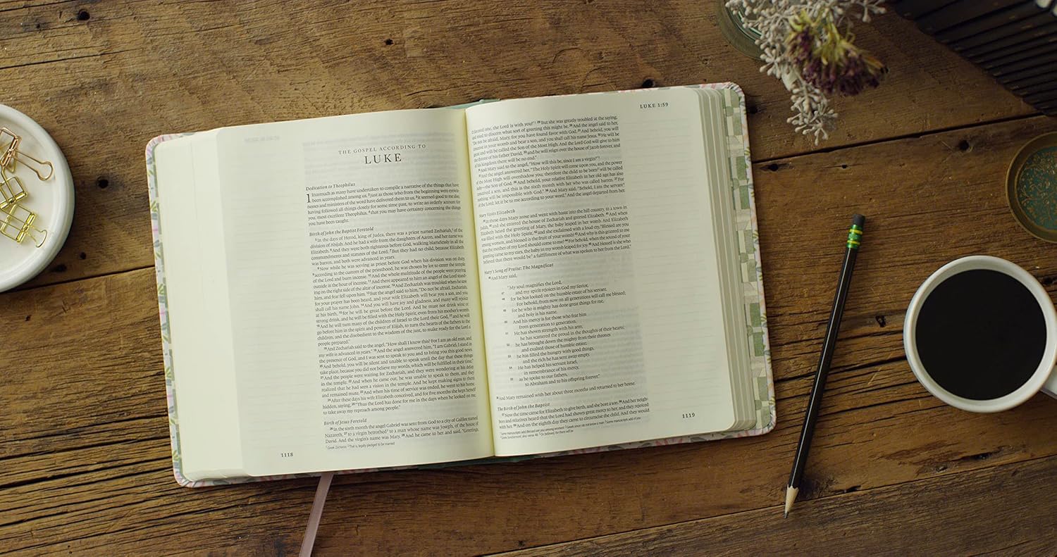 ESV Single Column Journaling Bible, Artist Series - Re-vived