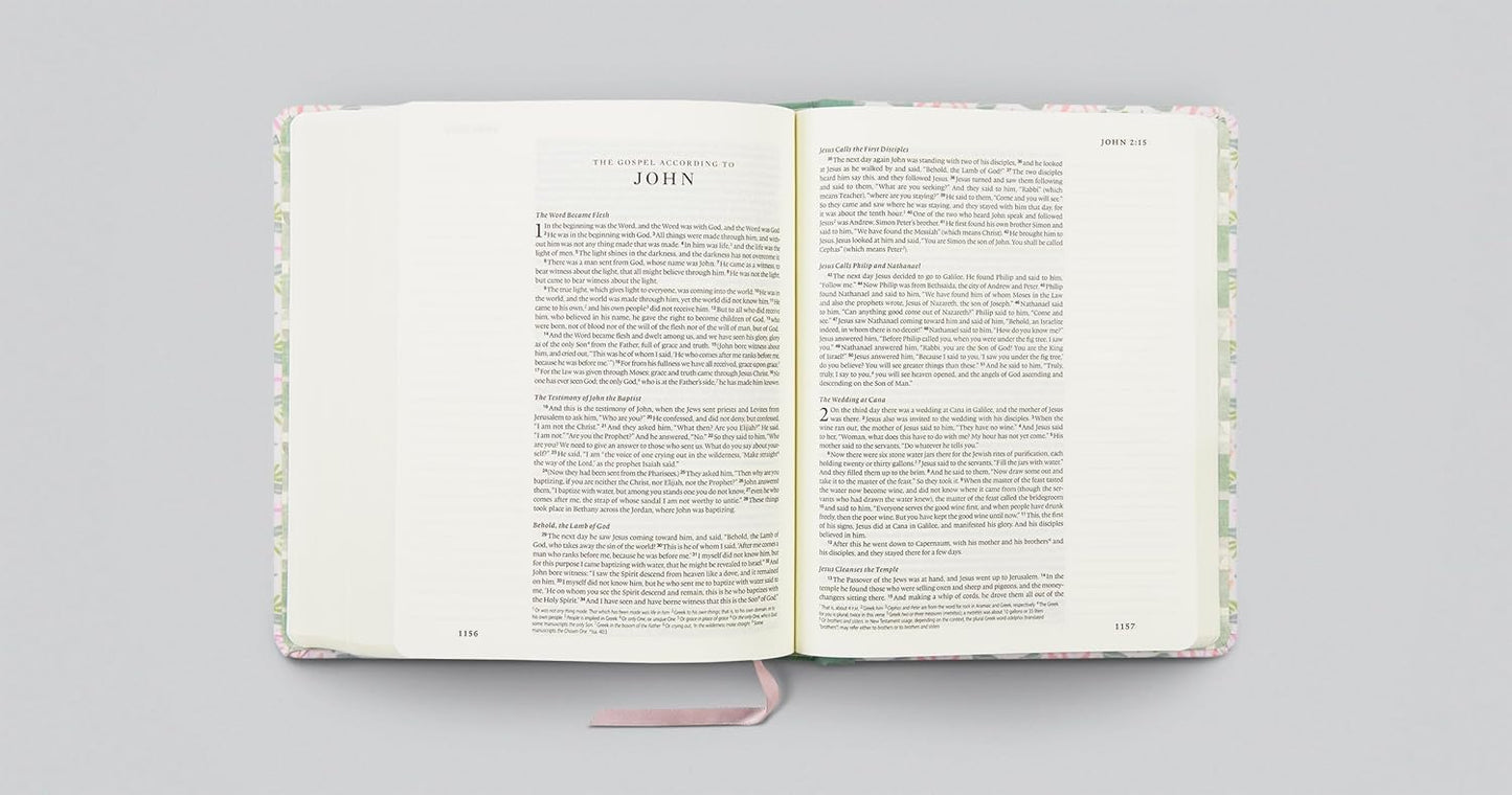 ESV Single Column Journaling Bible, Artist Series - Re-vived