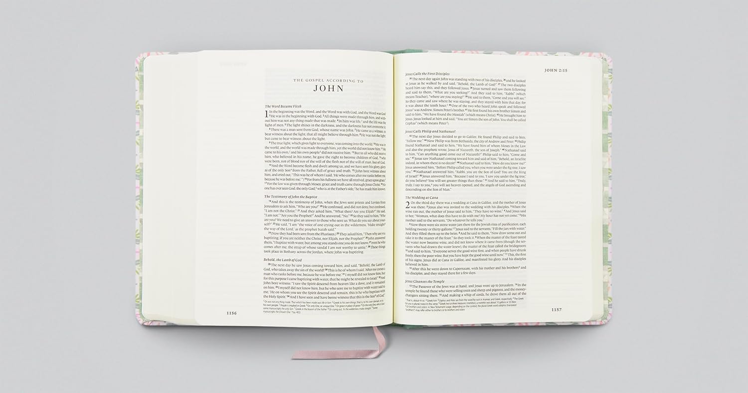 ESV Single Column Journaling Bible, Artist Series - Re-vived