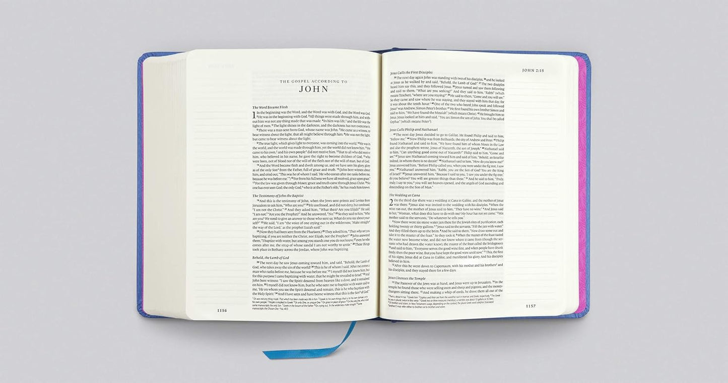 ESV Single Column Journaling Bible, Artist Series - Re-vived