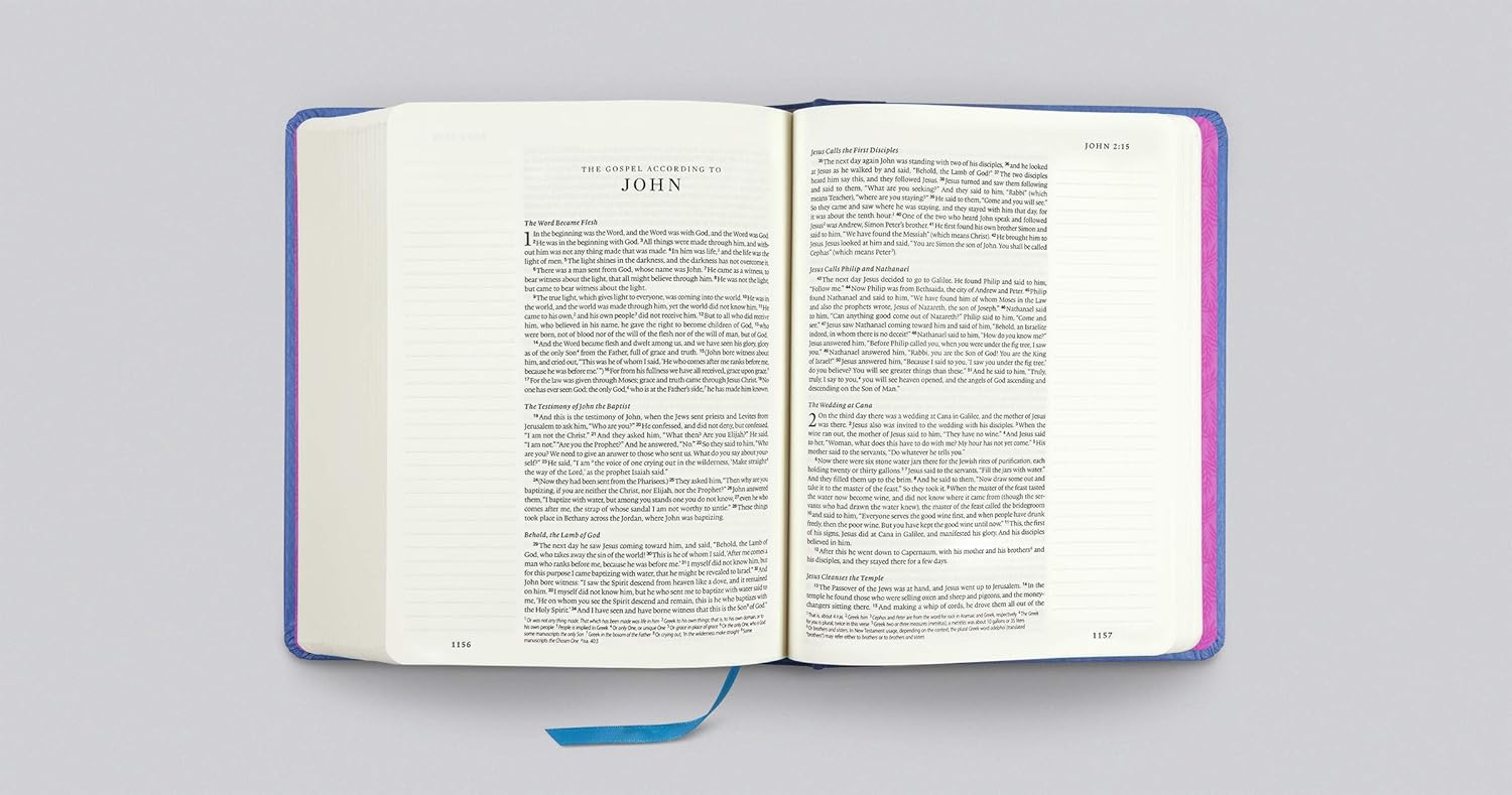 ESV Single Column Journaling Bible, Artist Series - Re-vived