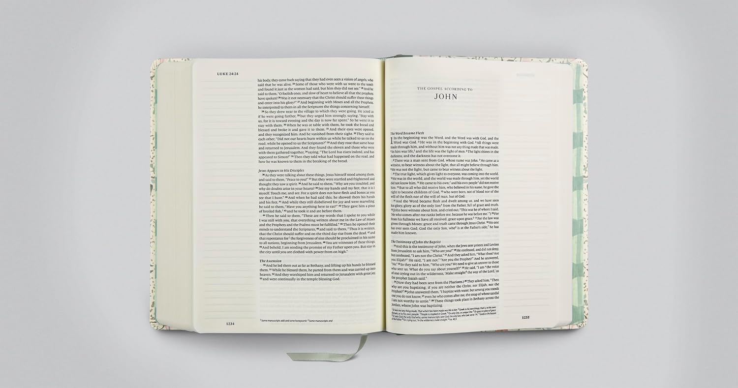 ESV Single Column Journaling Bible, Artist Series - Re-vived