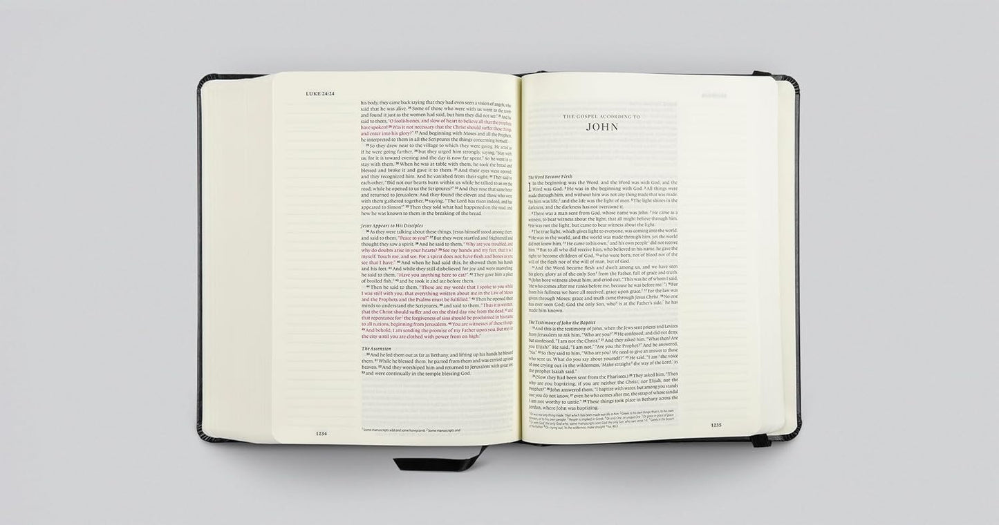ESV Single Column Journaling Bible, Red Letter, Black - Re-vived