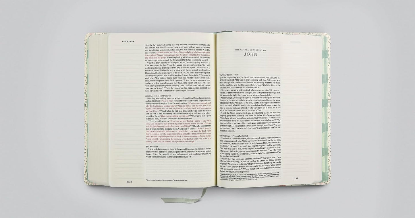 ESV Single Column Journaling Bible, Artist Series - Re-vived