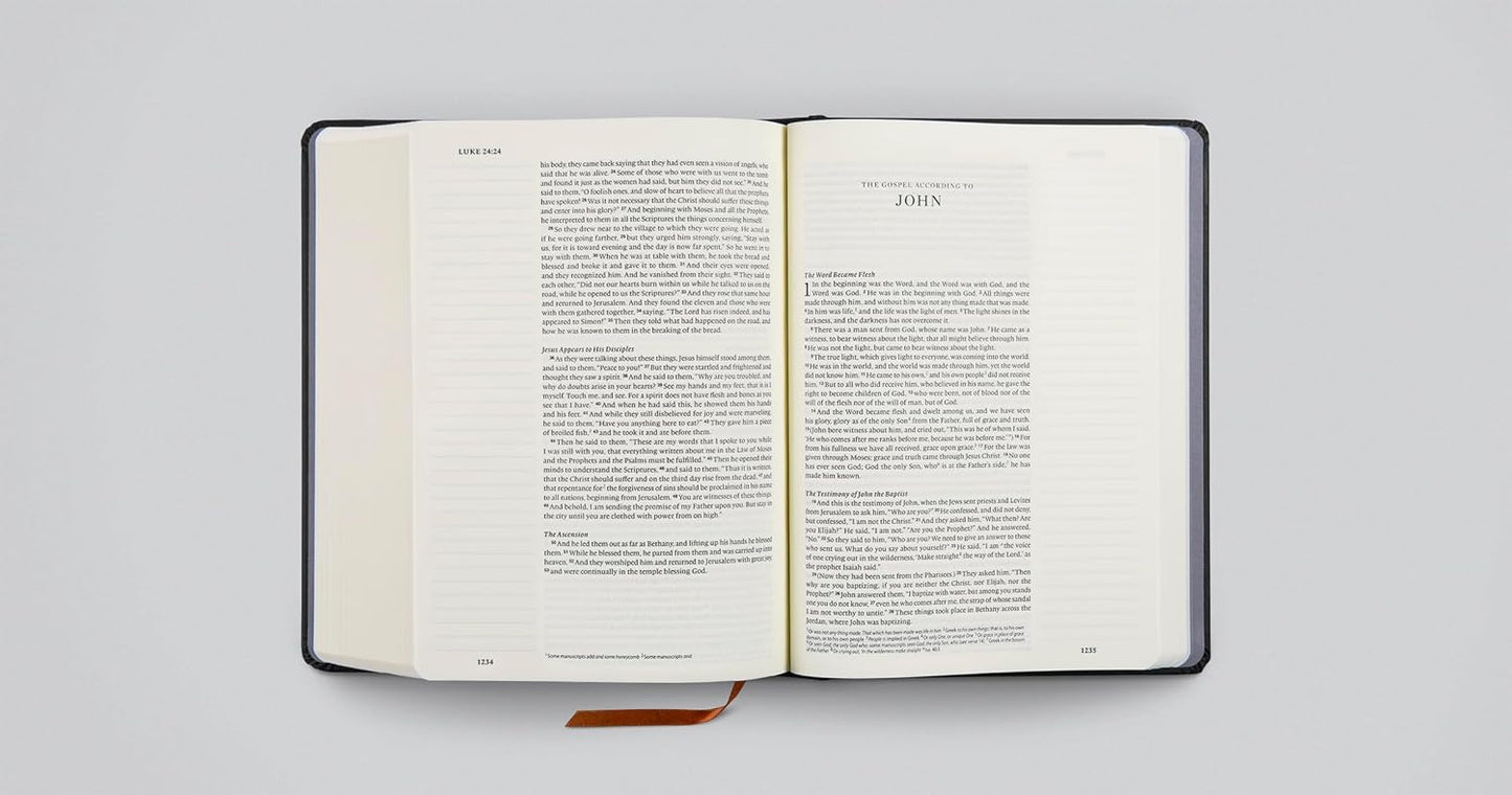ESV Single Column Journaling Bible, Artist Series - Re-vived