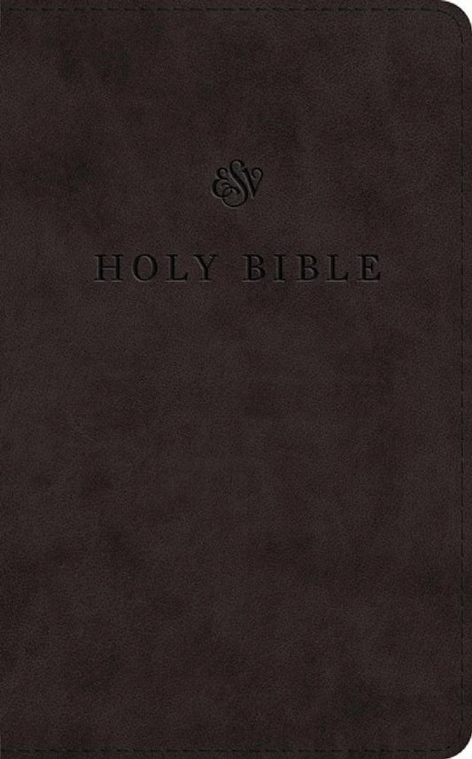 ESV Premium Church Bible, Large Print, Red Letter - Re-vived