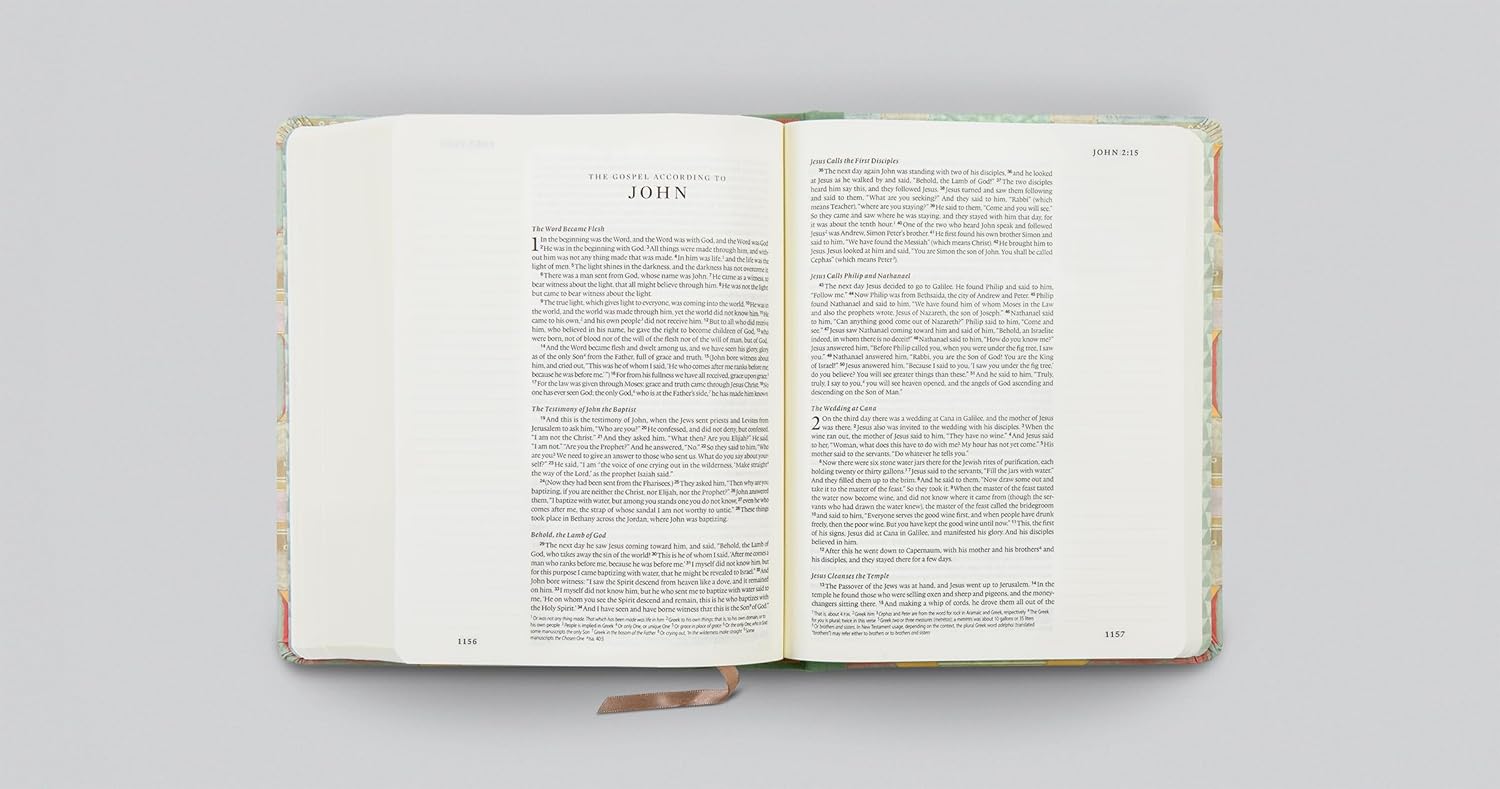 ESV Single Column Journaling Bible, Artist Series - Re-vived