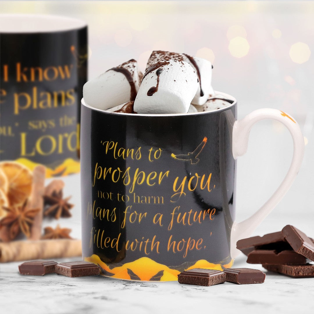 Plans For You Mug & Giftbox - Re-vived