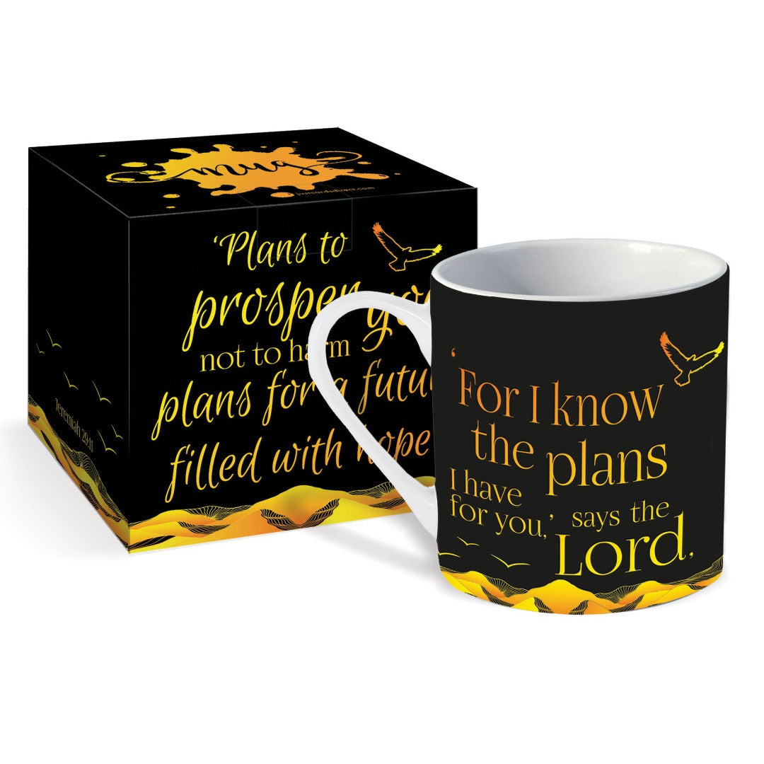 Plans For You Mug & Giftbox - Re-vived