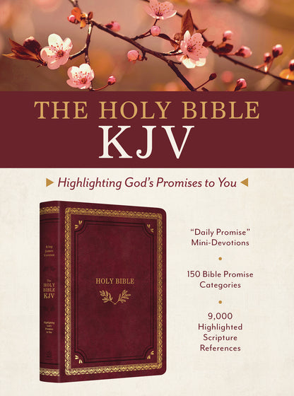 KJV Bible: God's Promises [Crimson/Gold] - Re-vived