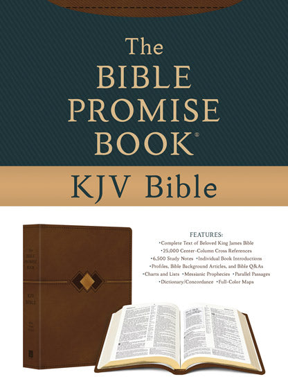Bible Promise Book Kjv Bible [Diamond] - Re-vived