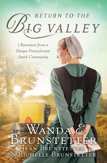 The Return To The Big Valley - Re-vived