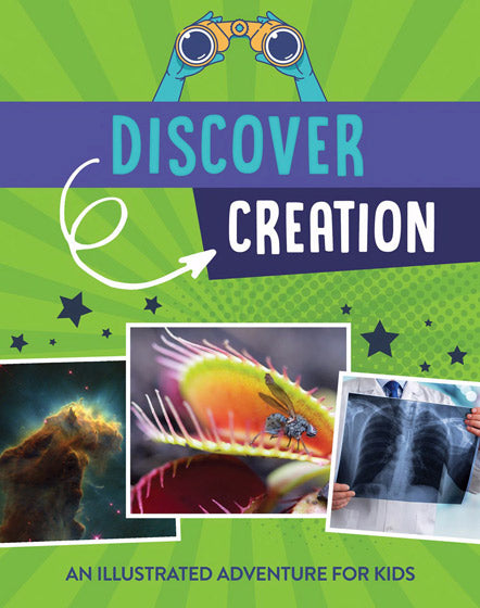 Discover Creation - Re-vived