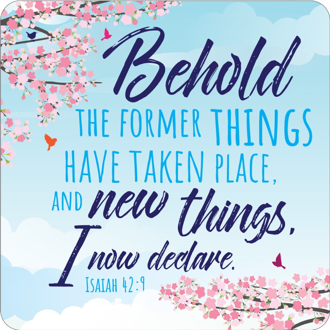 New Things Coaster - Re-vived