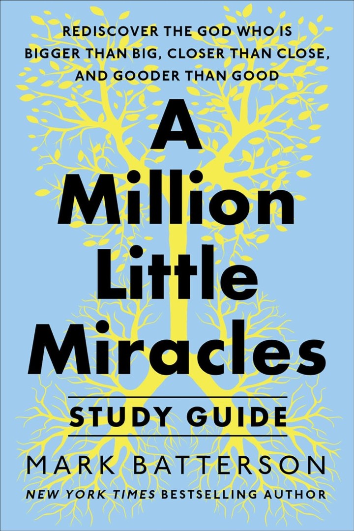 A Million Little Miracles Workbook - Re-vived