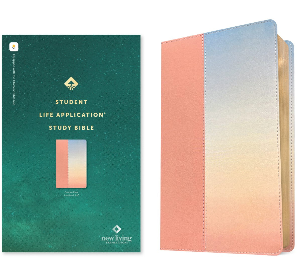 NLT Student Life Application Study Bible, Filament Enabled - Re-vived