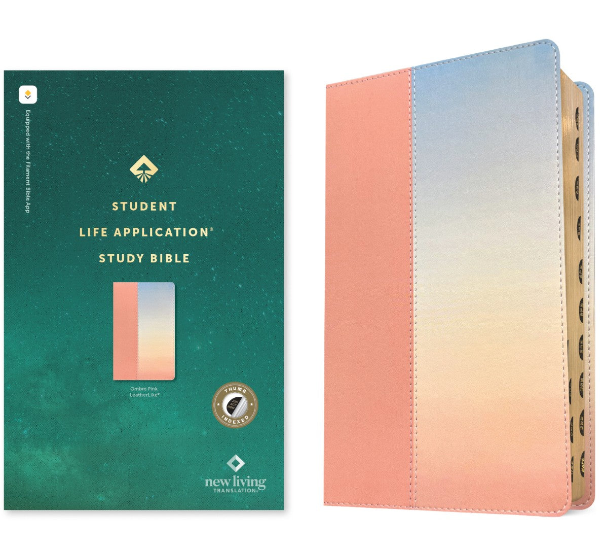 NLT Student Life Application Study Bible, Filament Enabled - Re-vived
