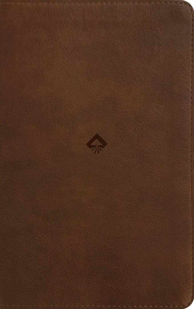 NLT Student Life Application Study Bible, Filament Enabled - Re-vived