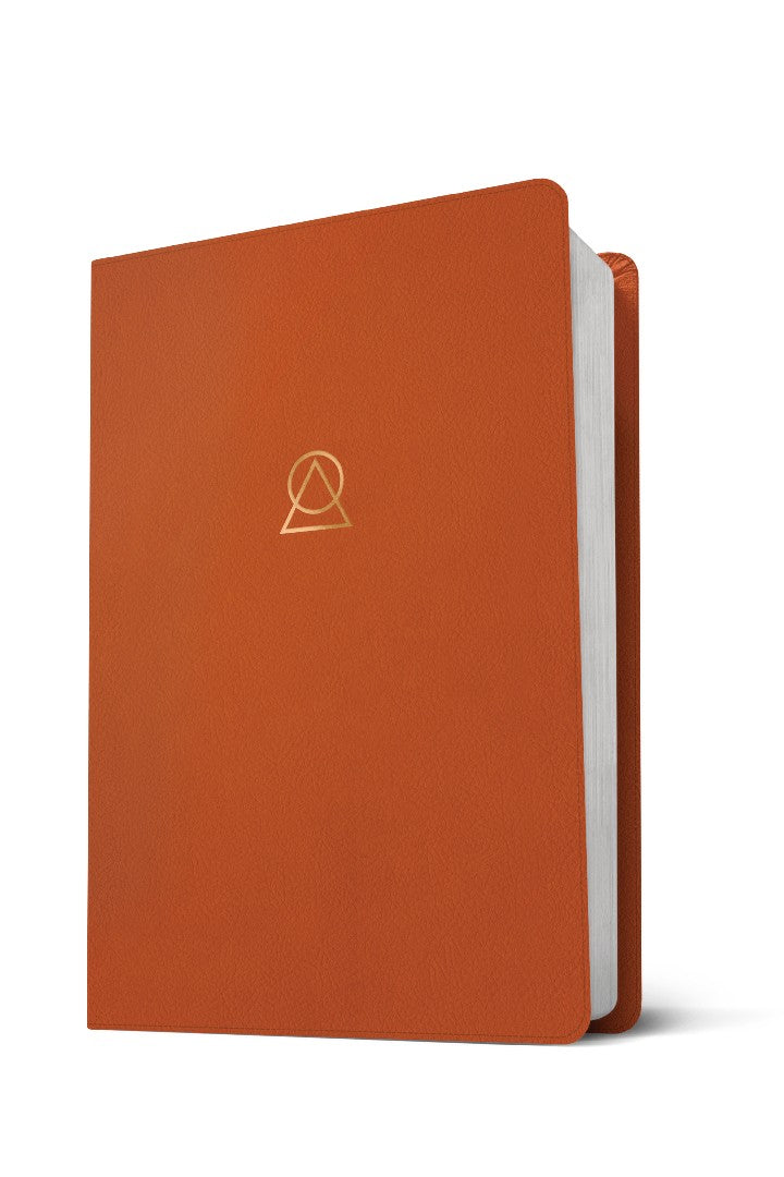 Message Women's Devotional Bible, Terracotta - Re-vived