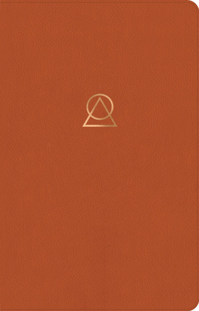 Message Women's Devotional Bible, Terracotta - Re-vived