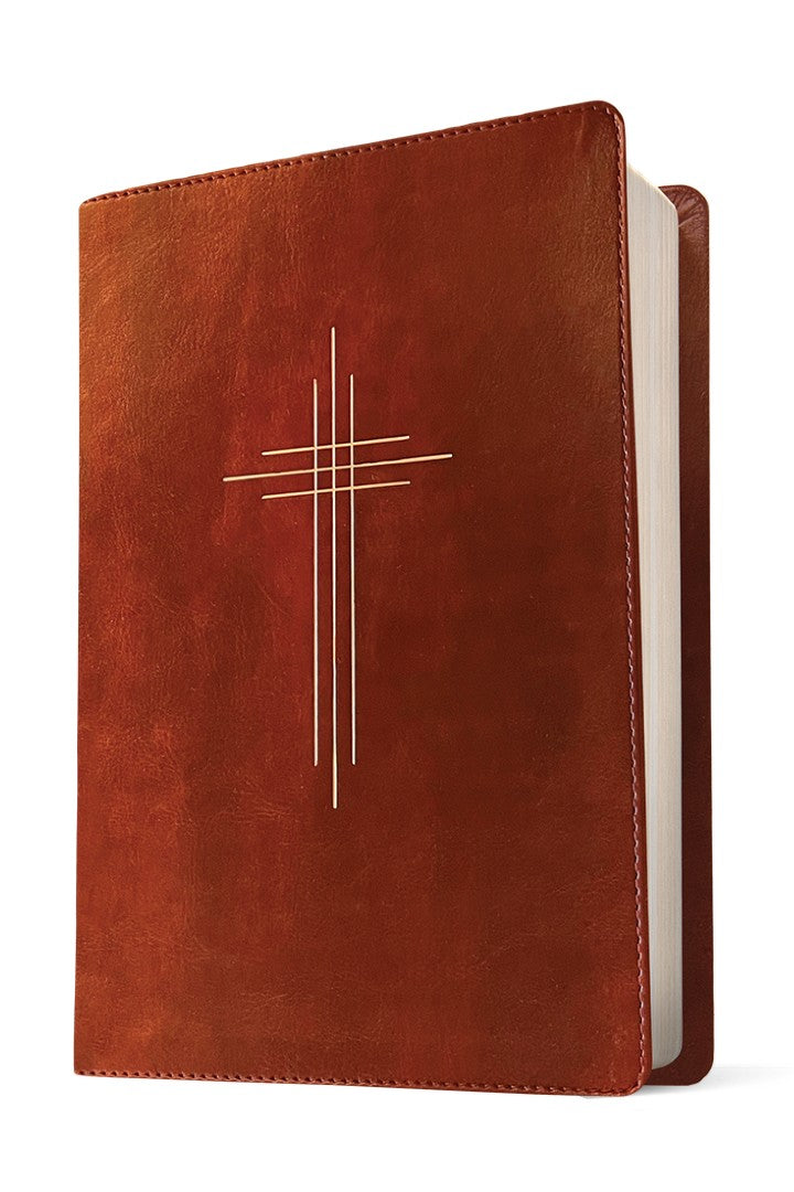 Message Deluxe Gift Bible, Dark Brown Gold - Re-vived