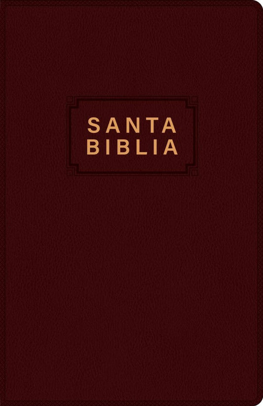 Santa Biblia NTV, Edición Premio Y Regalo, Vinipiel - Re-vived