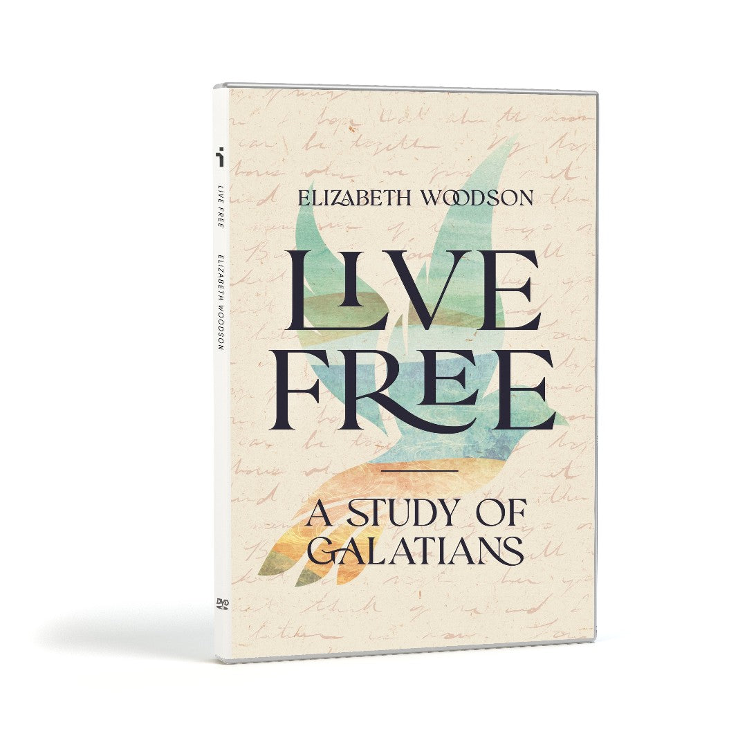 Live Free DVD Set - Re-vived