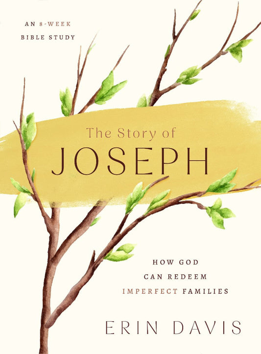 The Story of Joseph - Re-vived