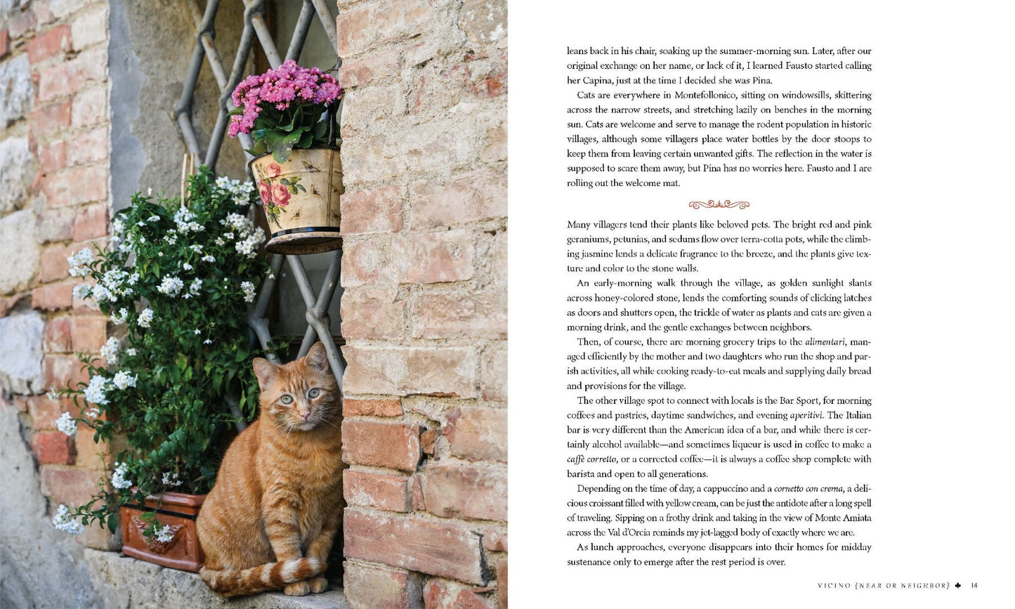 Village Life - Re-vived