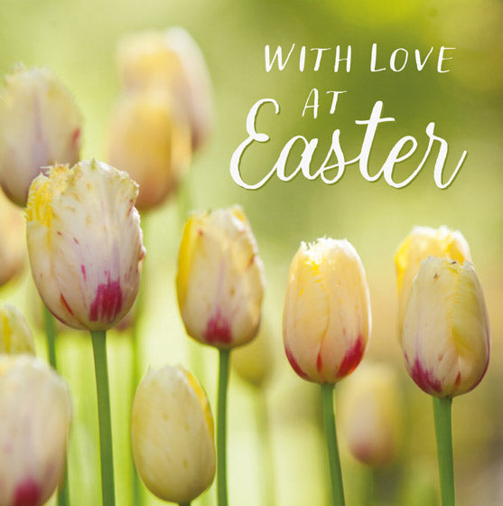 Easter Card - Tulips: With Love At Easter (Pack Of 5) - Re-vived