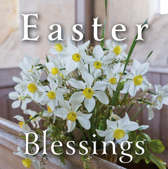 Easter Card - White Daffodils (Pack Of 5) - Re-vived
