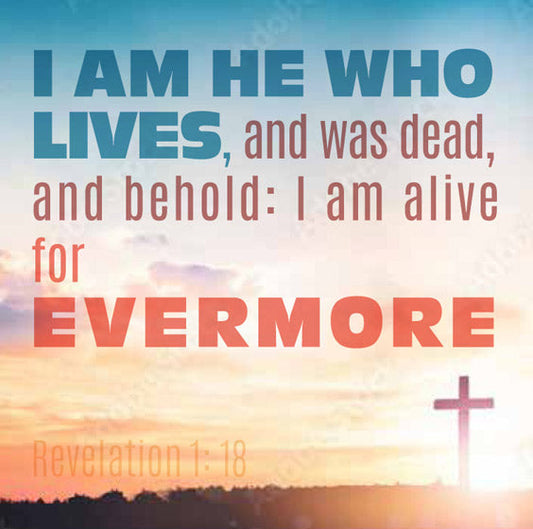 Compassion Charity Easter Cards - Sunrise/Revelation 1:18 - Re-vived
