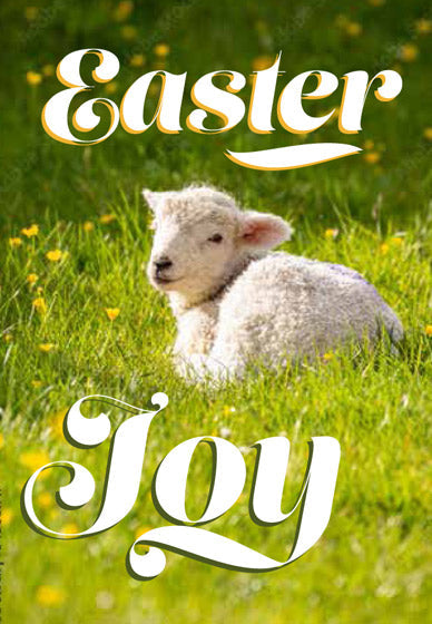 Compassion Charity Easter Cards - Lamb/Easter Joy (5 Pack) - Re-vived
