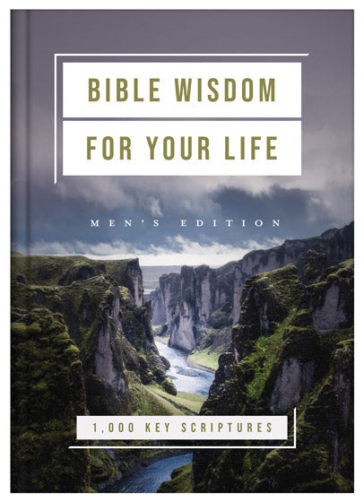Bible Wisdom For Your Life: Men'S Edition - Re-vived