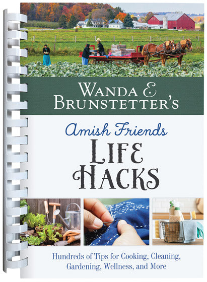 Amish Friends Life Hacks - Re-vived