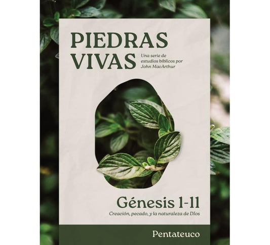 Piedras Vivas: Génesis 1-11 - Estudio Bíblico - Re-vived