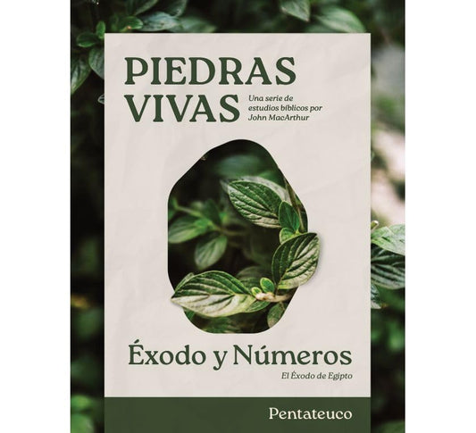 Piedras Vivas: Éxodo Y Números - Estudio Bíblico - Re-vived