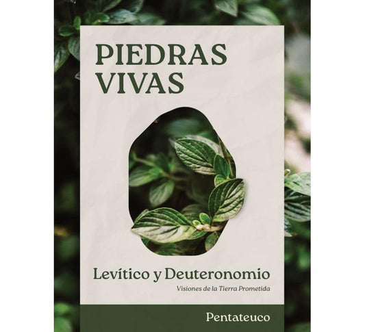 Piedras Vivas: Levítico y Deuteronomio - Estudio Bíblico - Re-vived