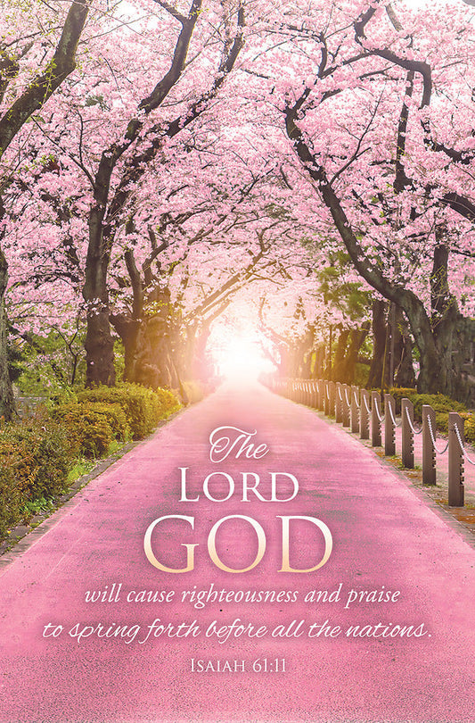 God Will Cause Righteousness Spring Bulletin (pack of 100) - Re-vived