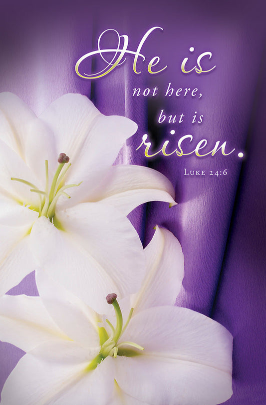 He is Not Here Easter Bulletin (pack of 100) - Re-vived