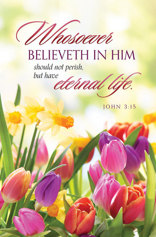 Whosoever Believeth in Him Easter Bulletin (pack of 100) - Re-vived