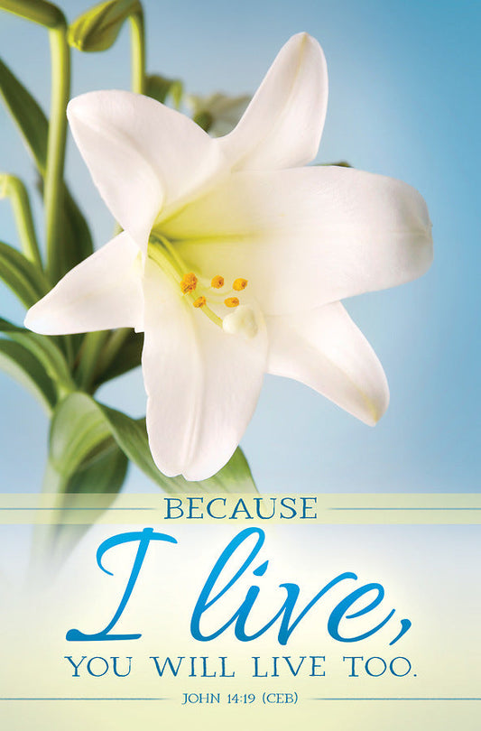 Because I Live Easter Bulletin (pack of 100) - Re-vived