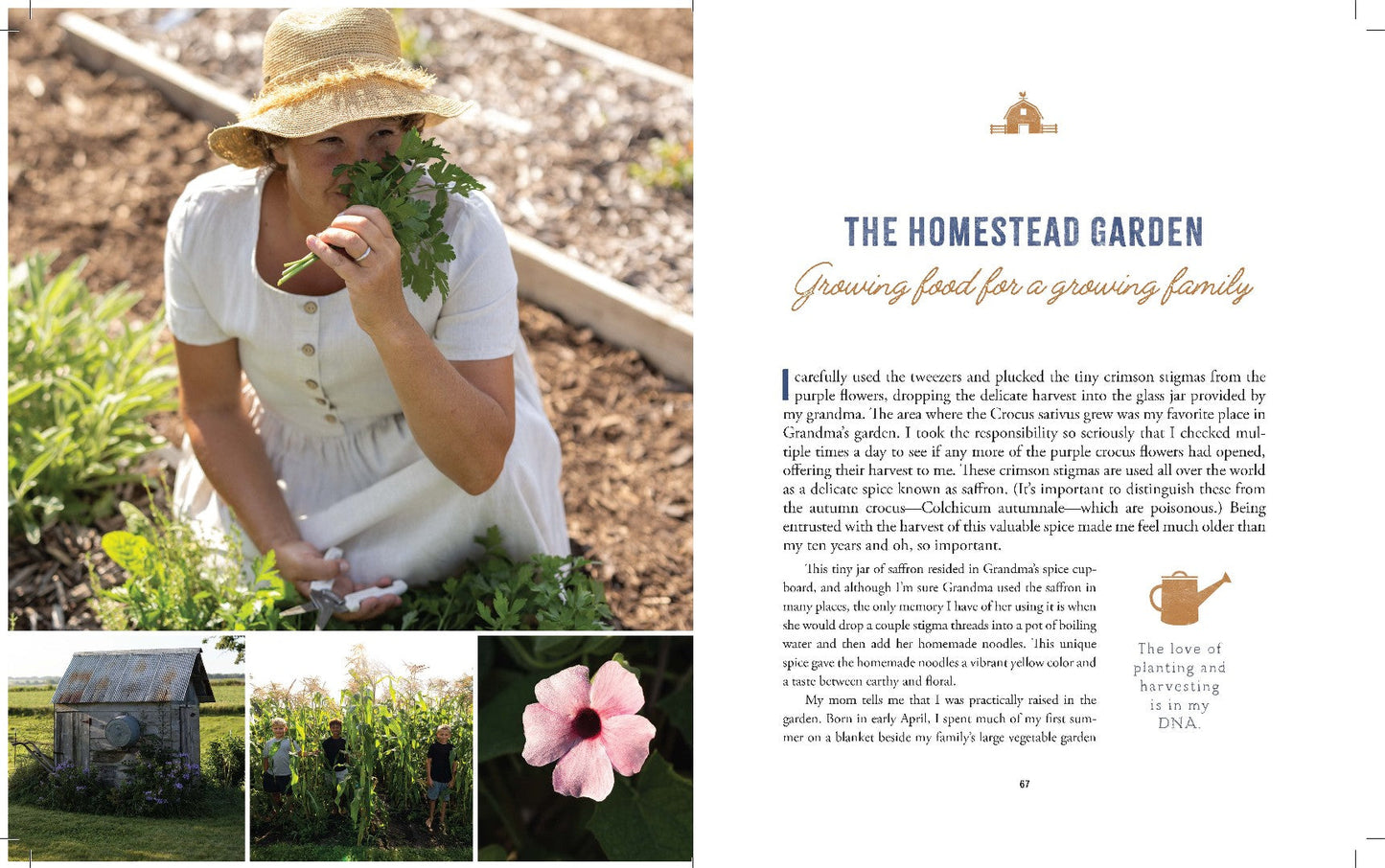 The Heart of the Homestead - Re-vived