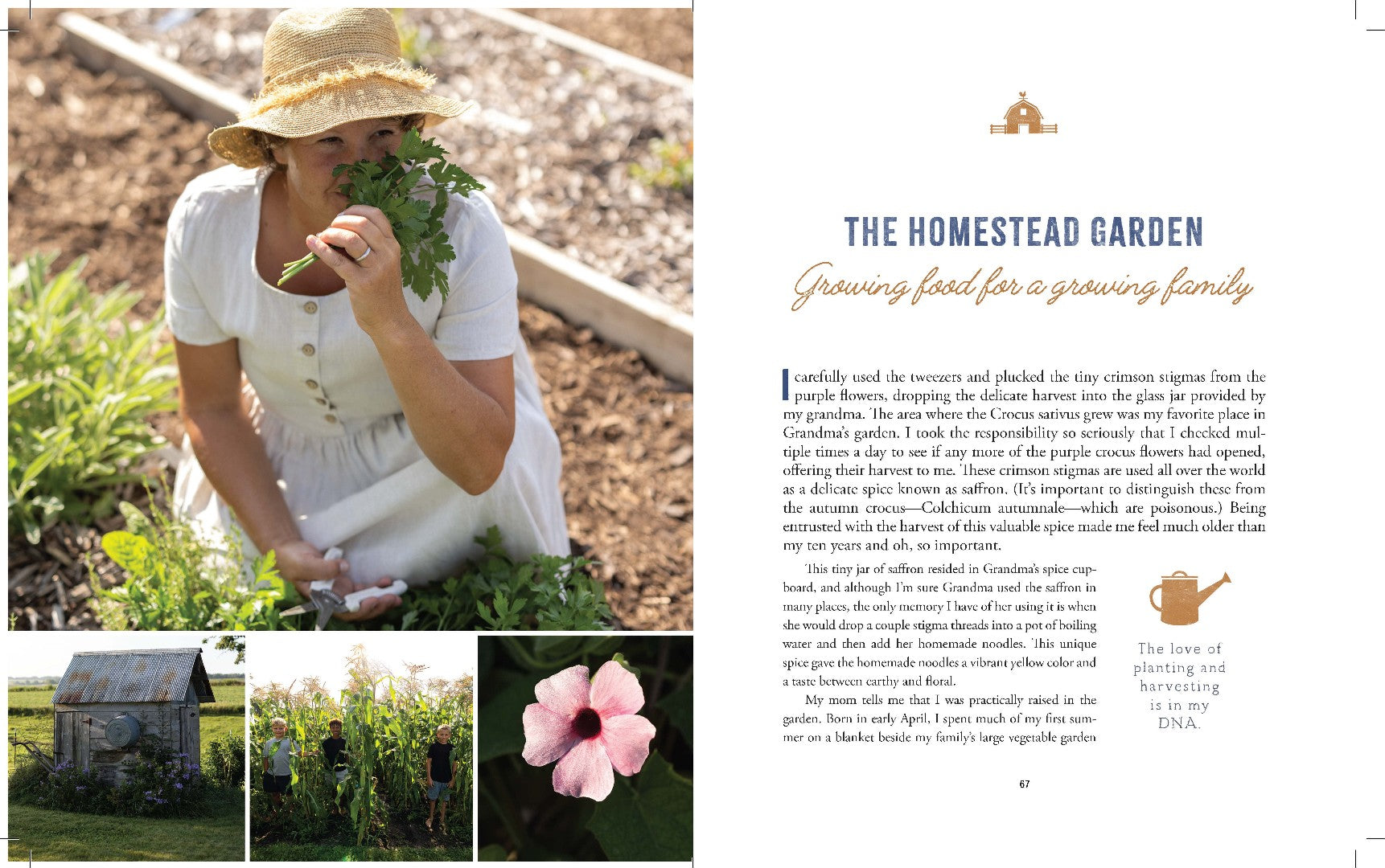 The Heart of the Homestead - Re-vived