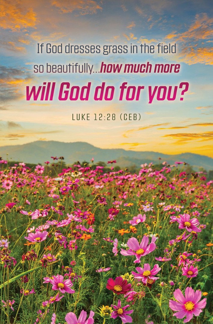 Summer How Much More? Bulletin (pack of 100) - Re-vived