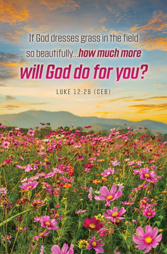 Summer How Much More? Bulletin (pack of 100) - Re-vived